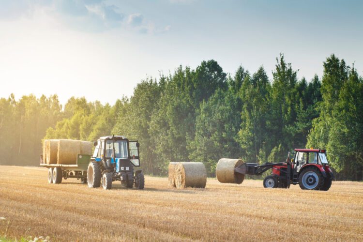Agriculture & Rural Business Finance Solutions 1 agriculture finance